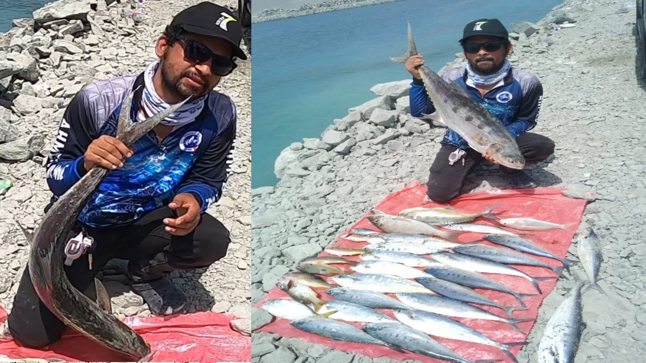 Shark island summer jigging ,,, ഇതാൺ മക്കളേ ജിഗ്ഗിംഗ്‌