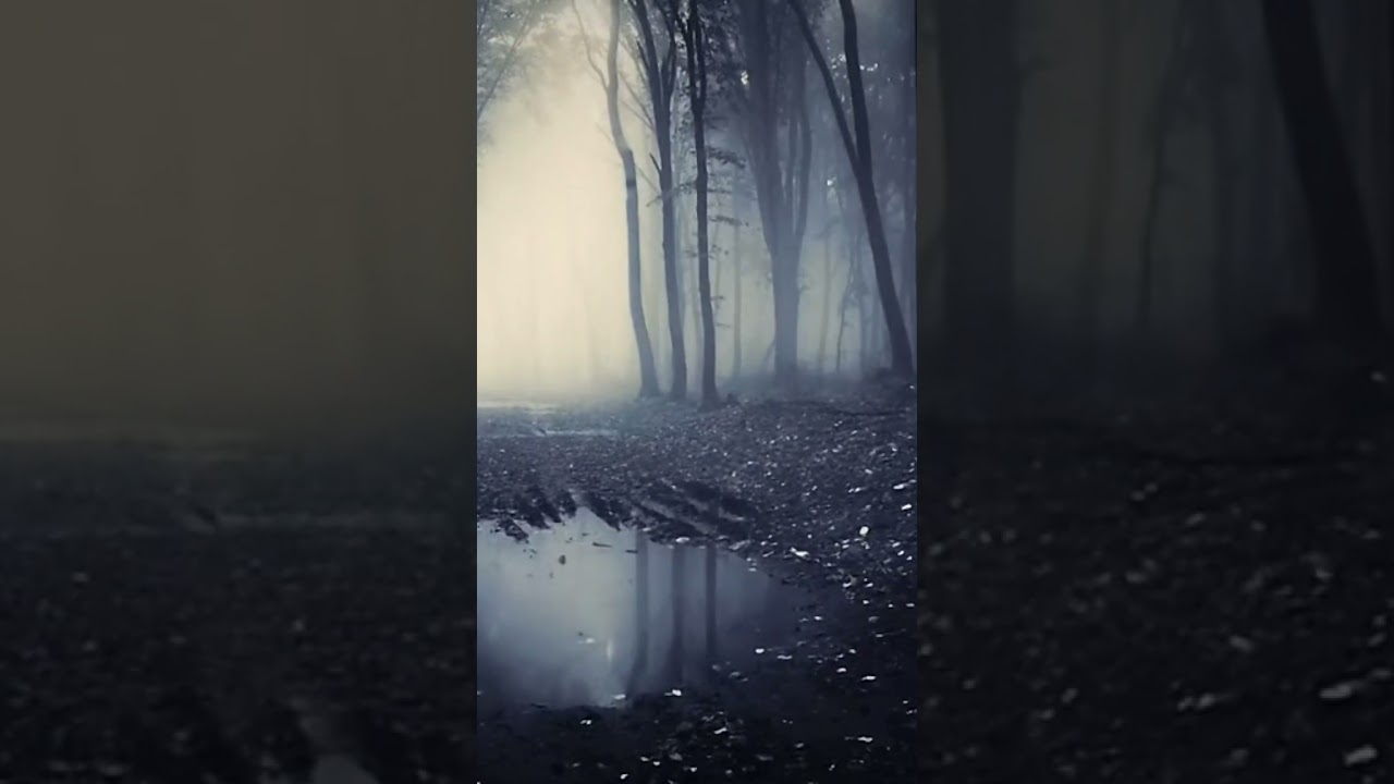 4 Hours of Relaxing Rain and Thunder Sounds perfect for Deep Sleep, Study and Meditation!!