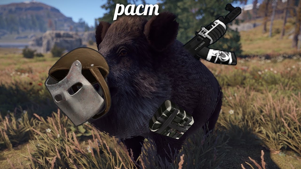Пляжный вайб в 2026 Раст Rust