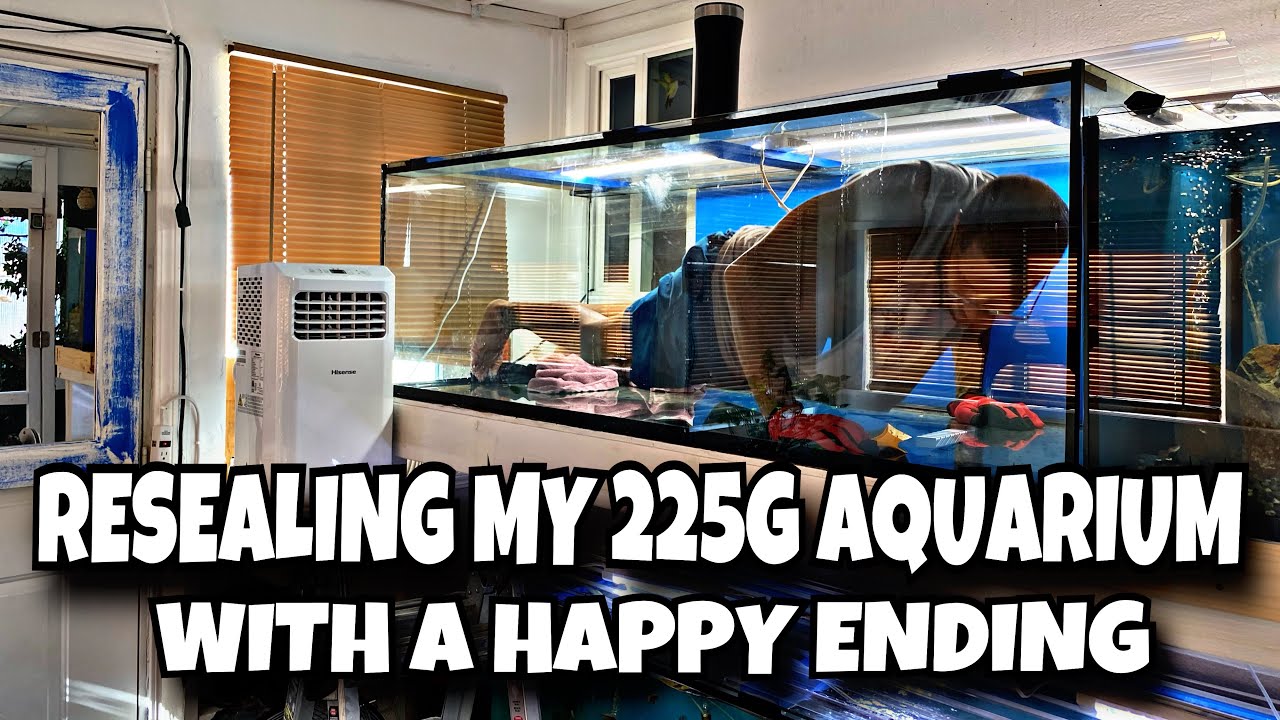RESEALING MY 225 GALLON AQUARIUM *WITH A HAPPY ENDING*