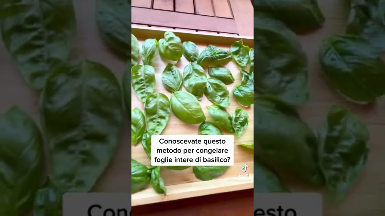 Conoscevate questo metodo per congelare foglie intere di basilico ?