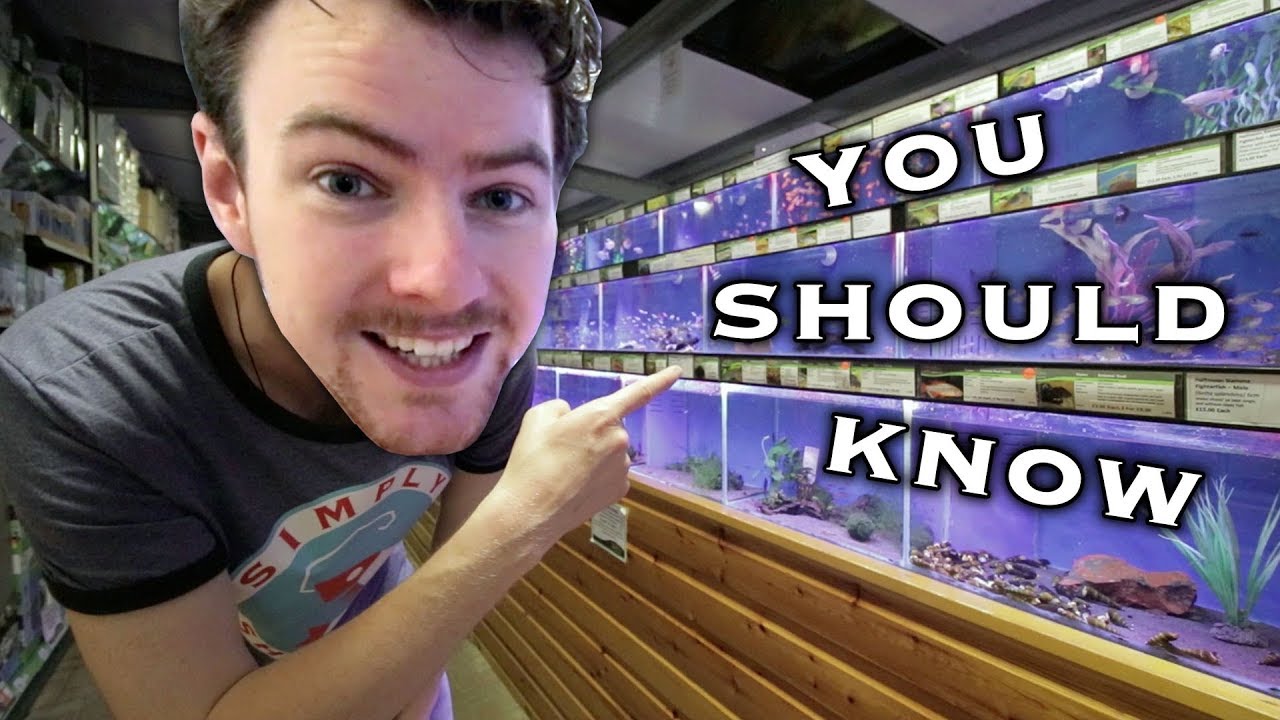 5 FACTS - About Your Aquarium