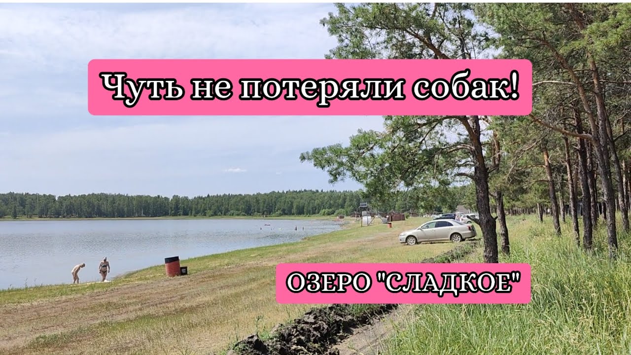 Собаки сбежали! 😱🦮 Озеро 