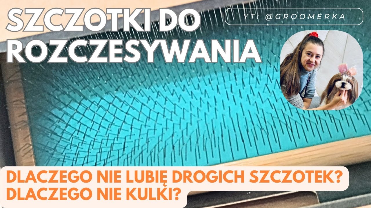 Szczotki do rozczesywania sierści. Dlaczego nie lubię drogich szczotek?