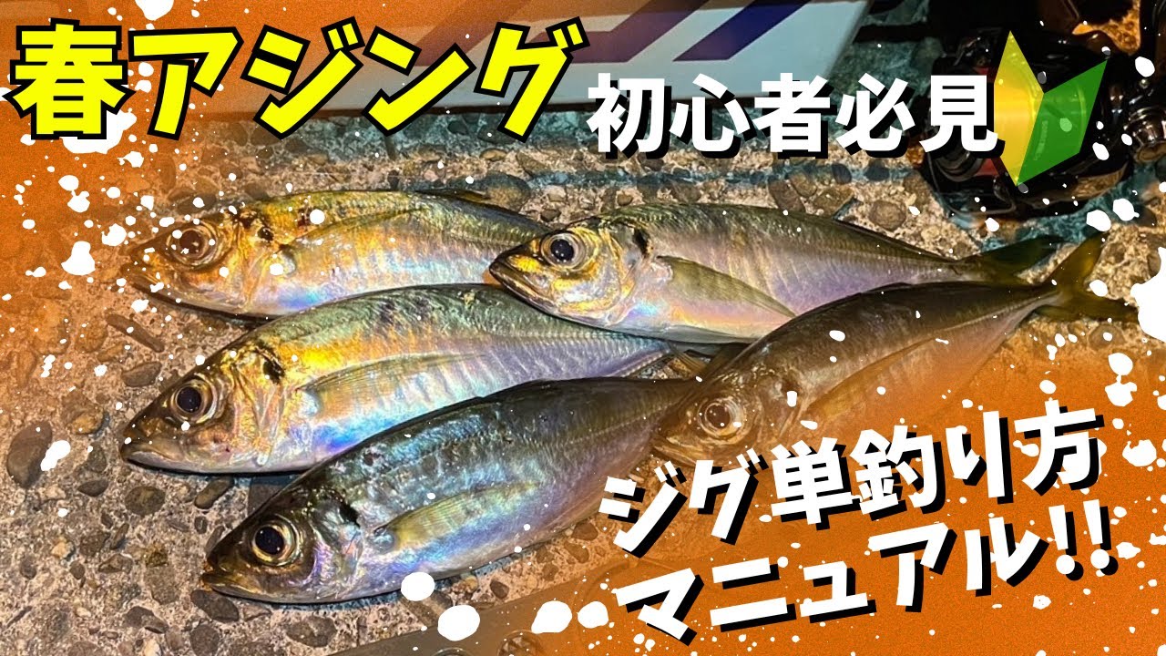 春アジング解説！簡単なジグ単解説マニュアル！これを見ればアジが釣れる事間違いなし！！