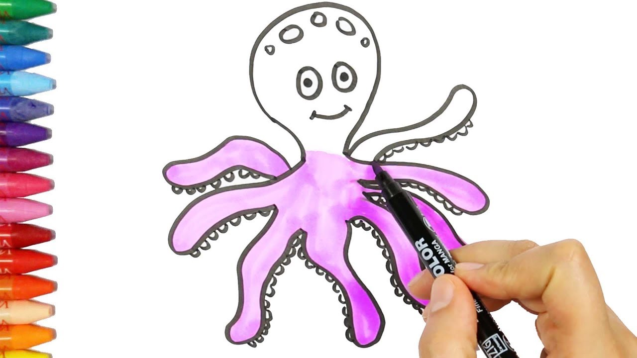 Un Polpo | Come disegnare e colora per i bambini