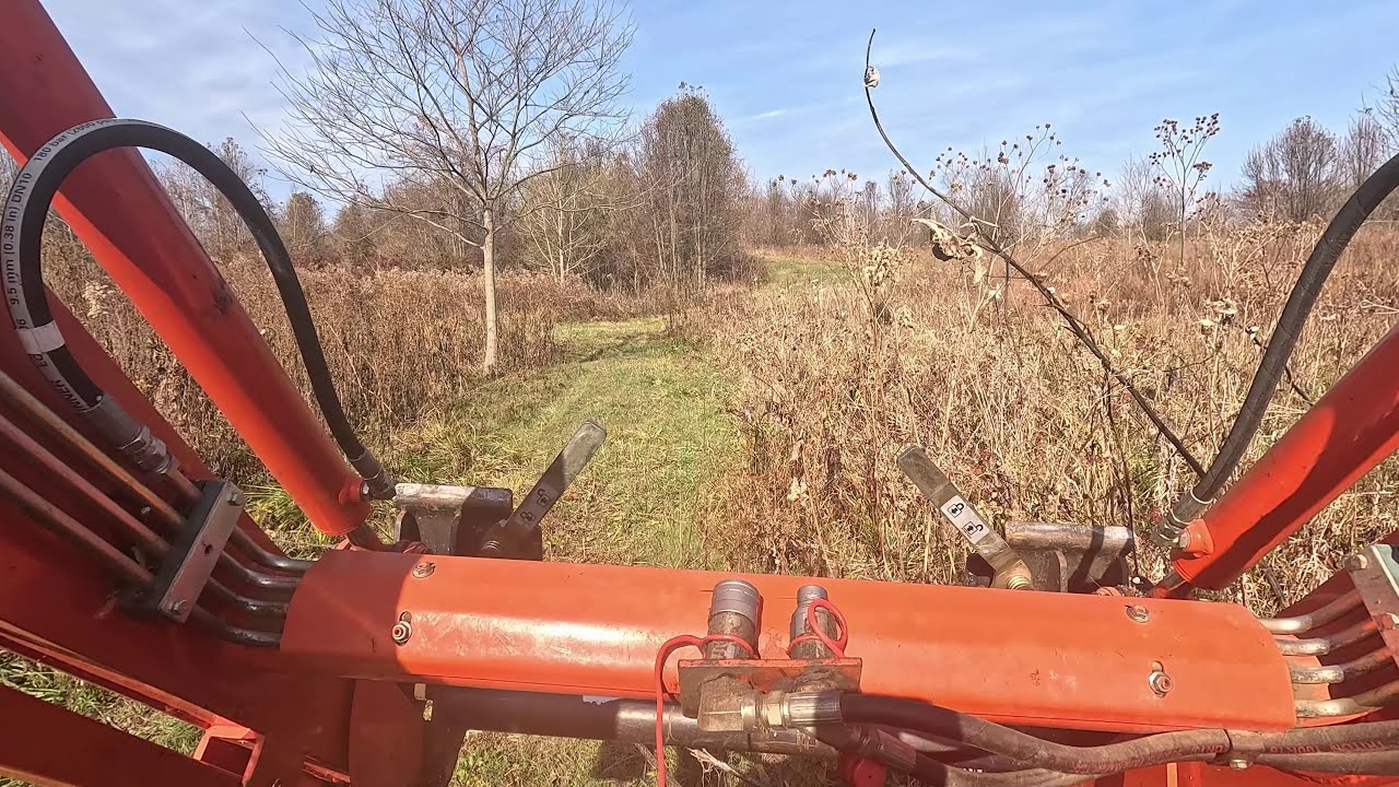 Brush Be Gone: Bushhogging in November