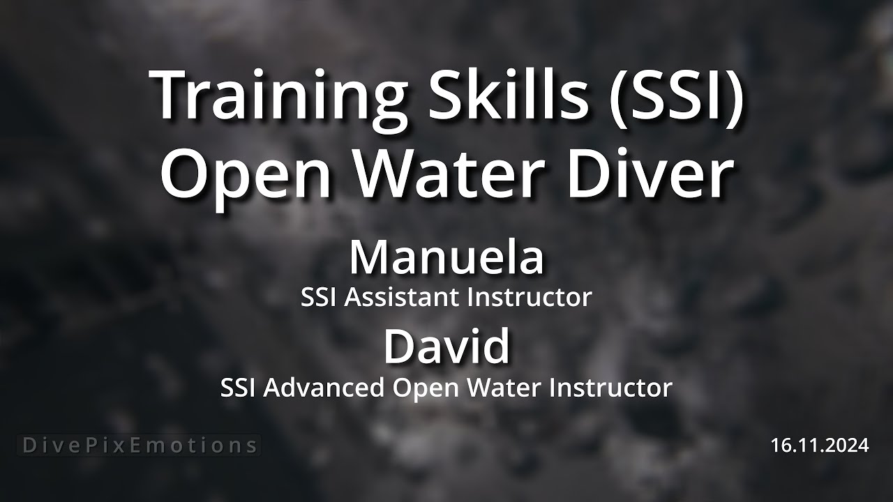 16.11.2024 Training OWD SKILLS (SSI)