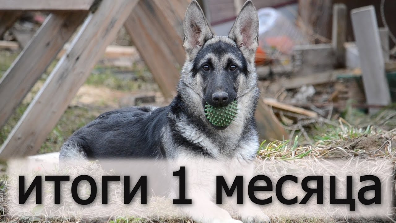 Бойные ПРОБЛЕМЫ, Нас стало больше.