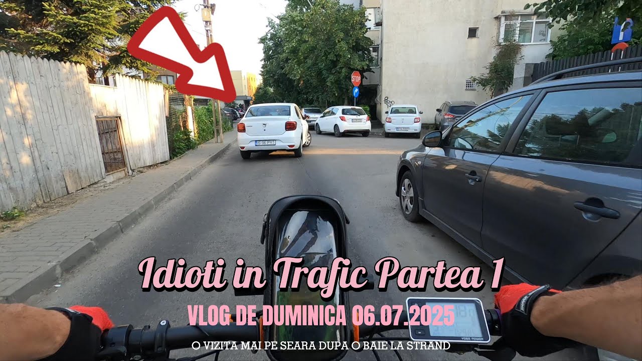 Idioti in Trafic Partea 1