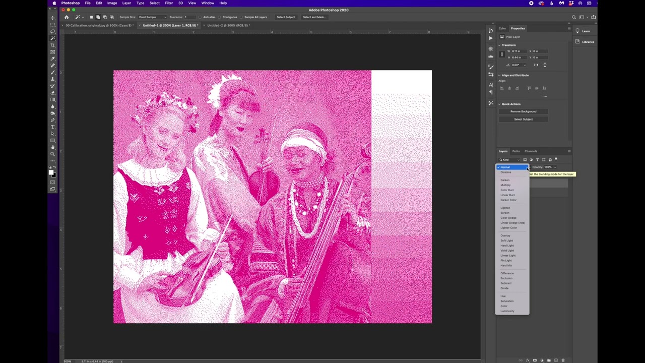 Making Four Color Process Stencils as Bitmap images for Screen Printing