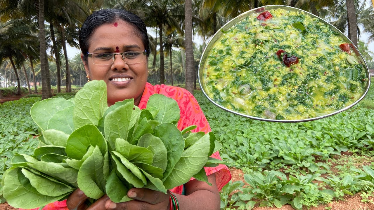 Fresh முள்ளங்கி கீரை - பாசி பருப்பு கூட்டு I Farm Fresh Mullangi Keerai Kootu I Village Style Recipe