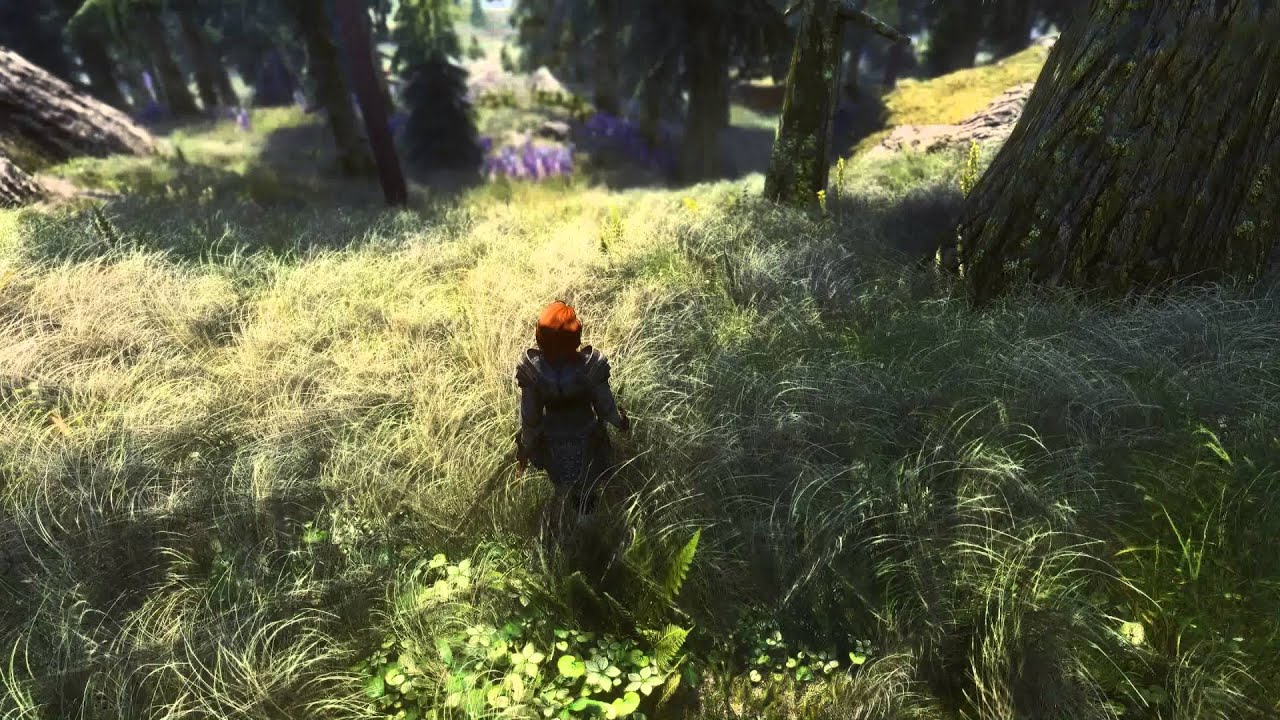 Elder Scrolls V  Skyrim - Lush Forest - Titan X SLI,  4K