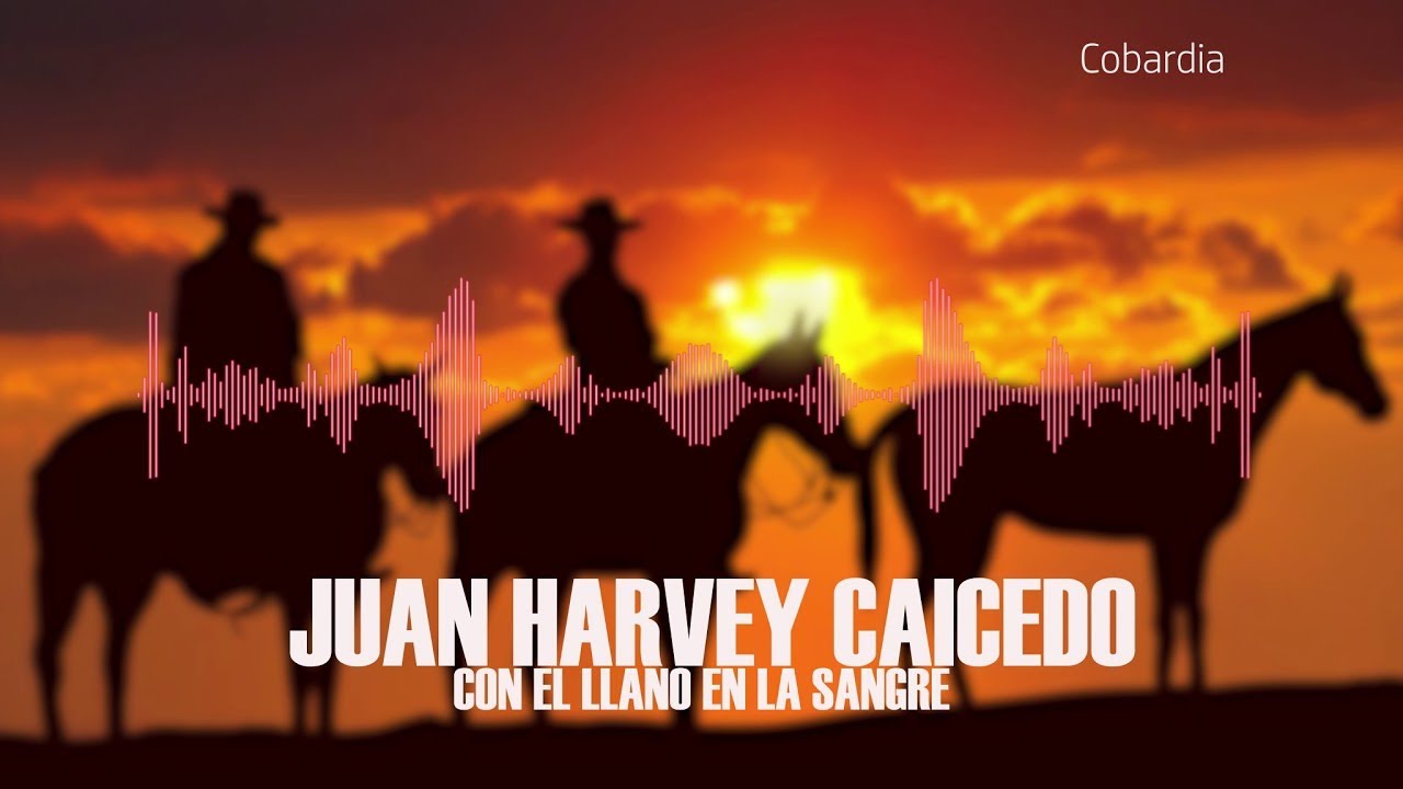 Cobardía - Juan Harvey Caicedo | Música Llanera Venezolana | Audio Oficial