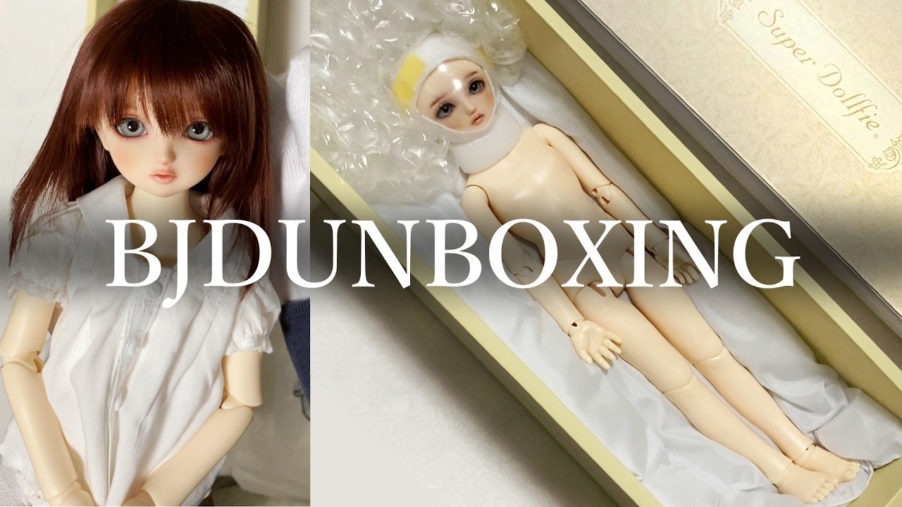 SDMちよちゃんをお迎えした動画【スーパードルフィー/スタンダードモデル/bjd unboxing/キャストドール開封/ENsub】