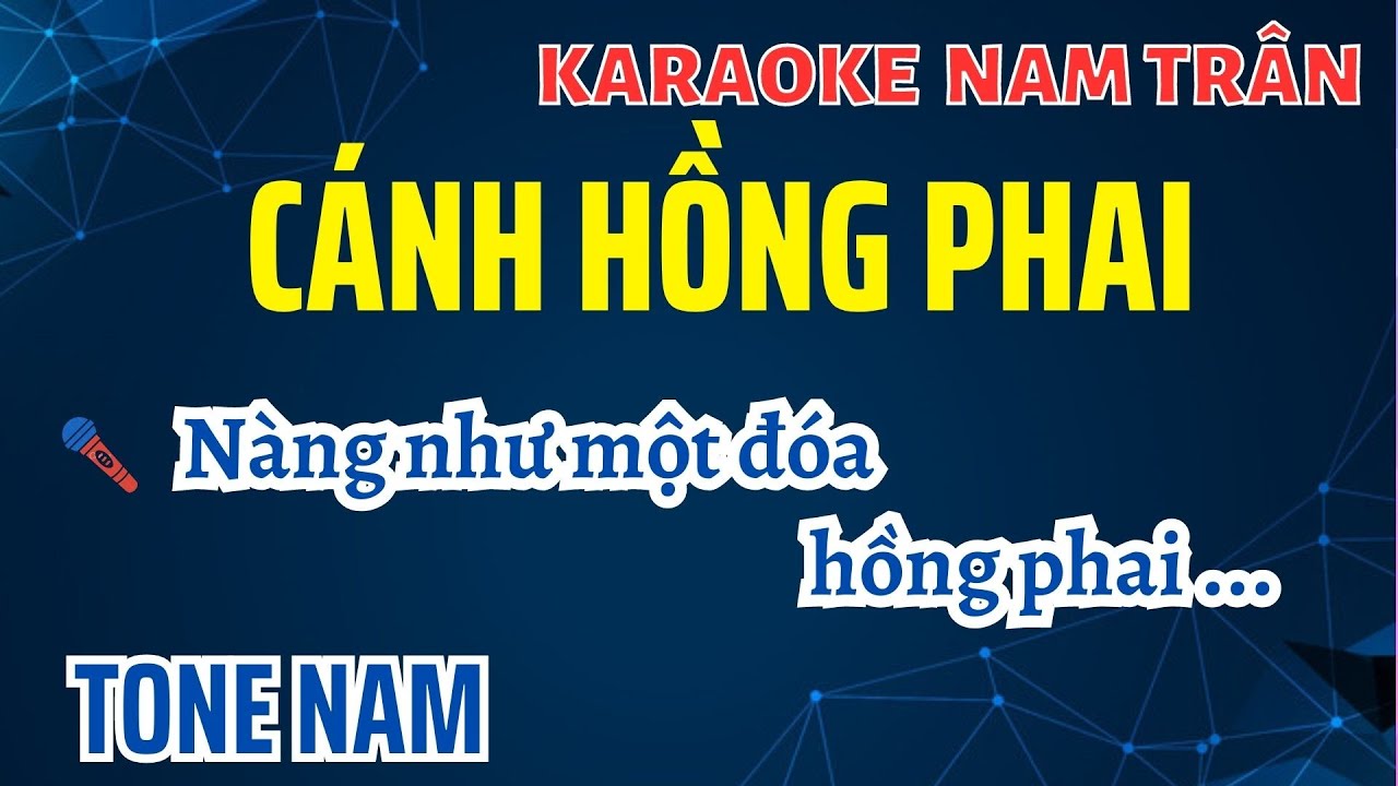 Karaoke Cánh Hồng Phai Tone Nam | Nam Trân