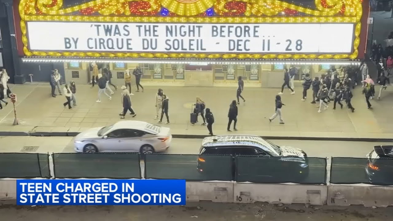 Teen charged in Loop mass shooting ordered held pending trial