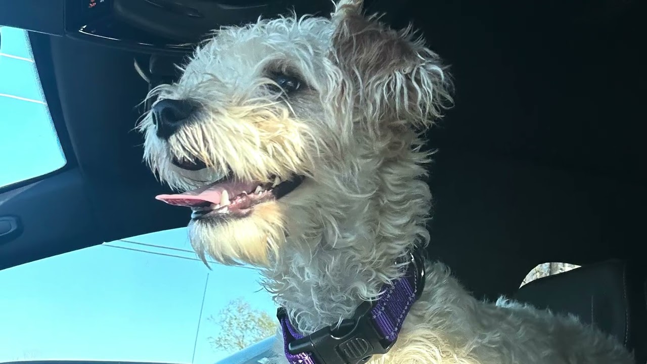 Penny Lane