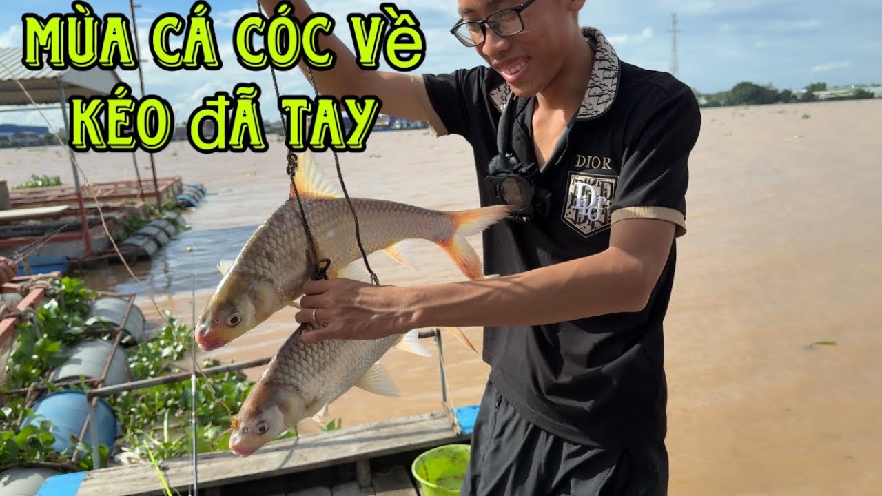 NTD Câu cá sông Tiền - Vô mùa nước đổ cá cóc ăn liên tục - fishing on the Tien River