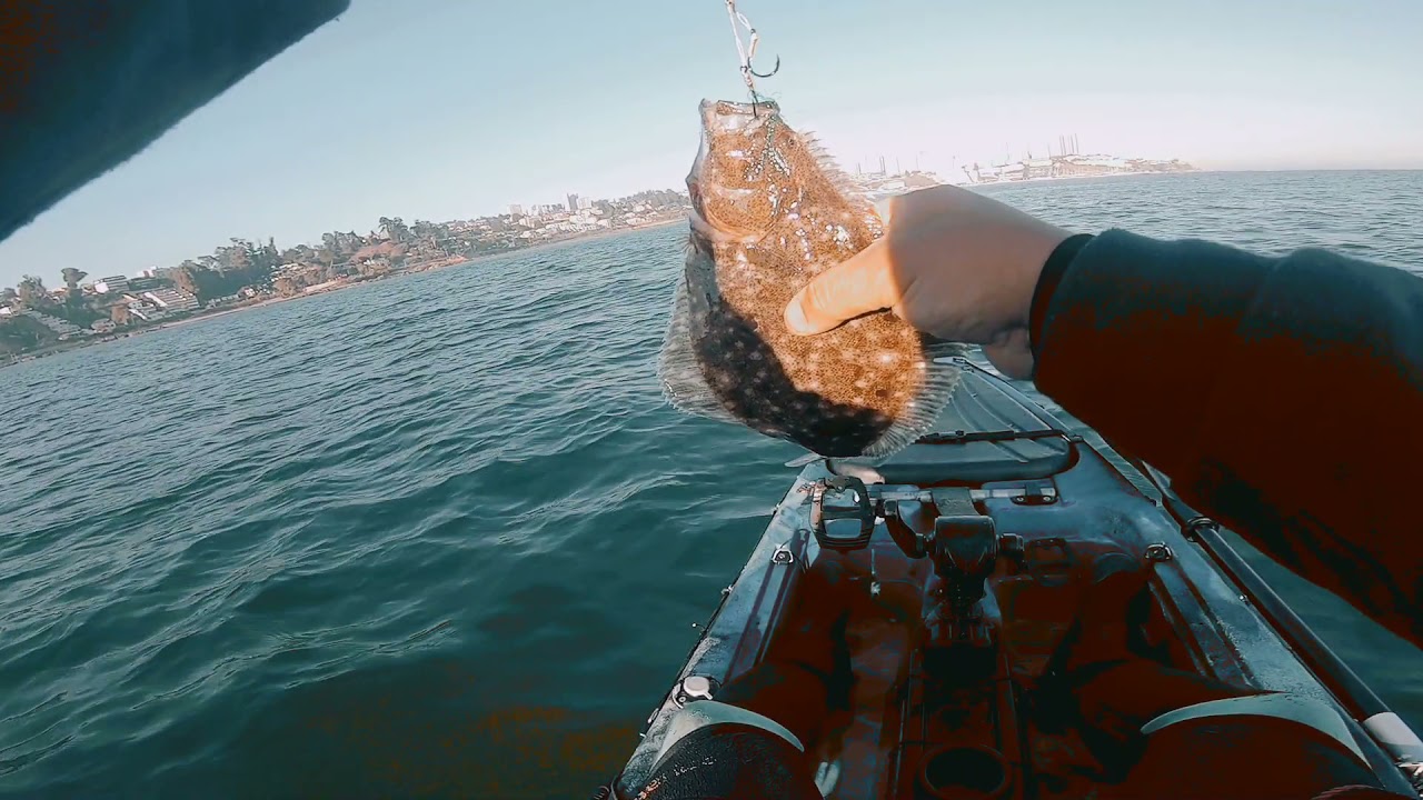 lenguaditos desde el kayak - slow jigging