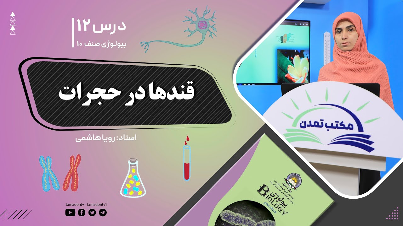 بیولوژی صنف دهم- جلسه دوازدهم - موضوع: قند ها در حجرات -17-9-1401