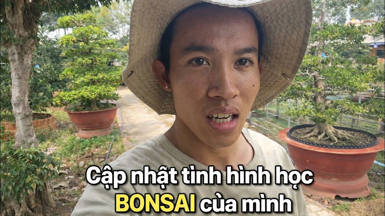 Cập nhật tình hình học bonsai của mình ☺️#bonsai 