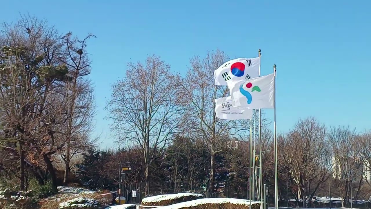 어린이대공원의 설경  (1)