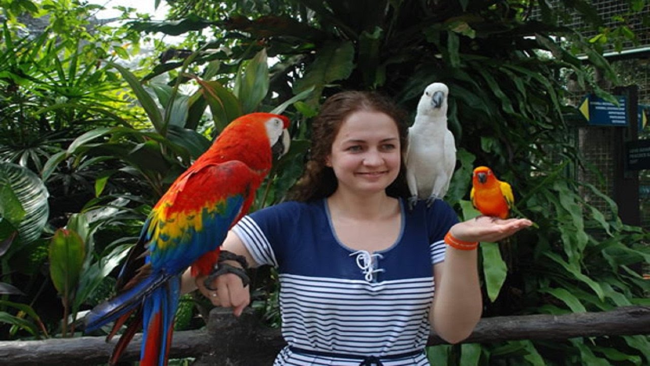 Kuala Lumpur Bird Park-2016