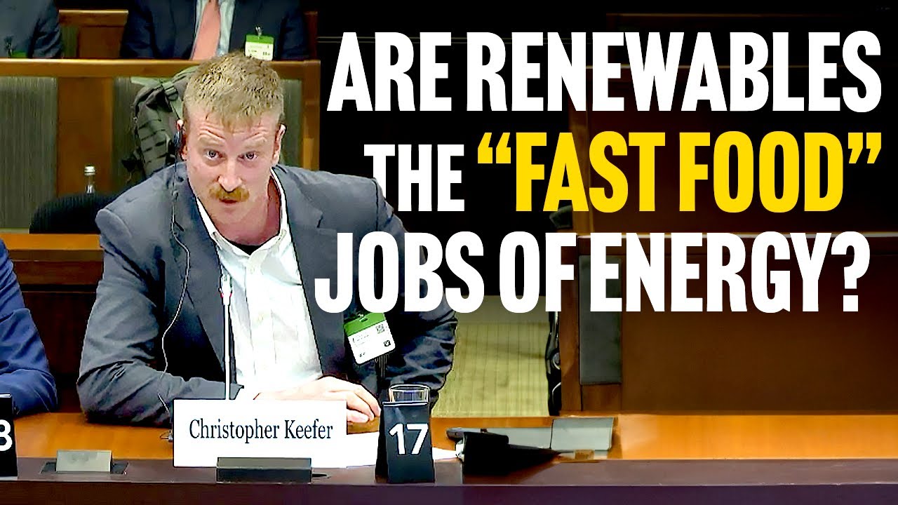 Are Renewables Jobs the “Fast Food” Employment of the Energy Transition?