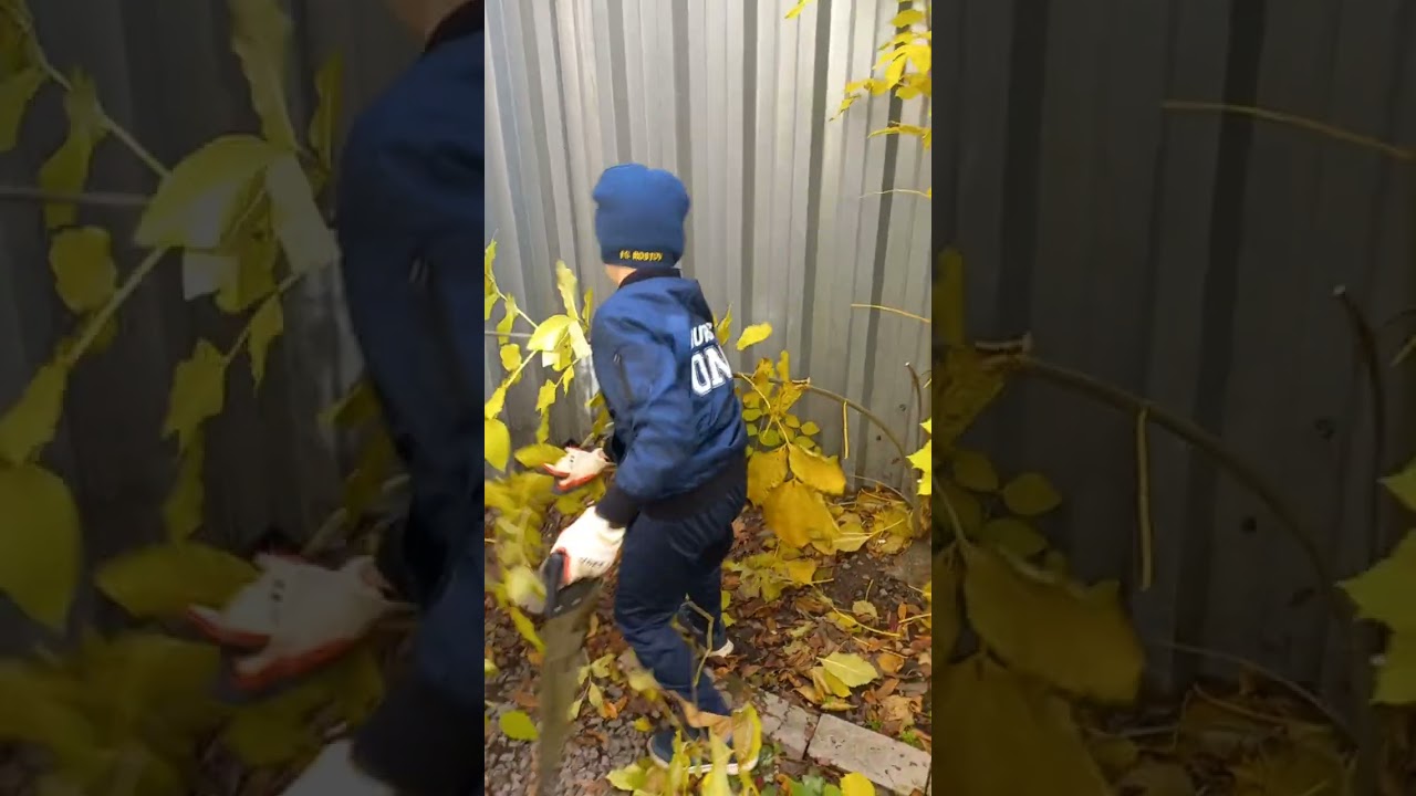 Спорт спортом, а дела домашние никто не отменял)