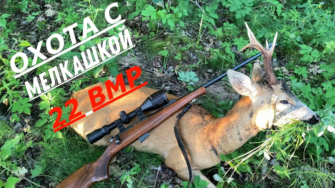 ОХОТА НА КОСУЛЮ  С МЕЛКАШКОЙ 22 ВМР ДОБЫЛ ТРОФЕЙ