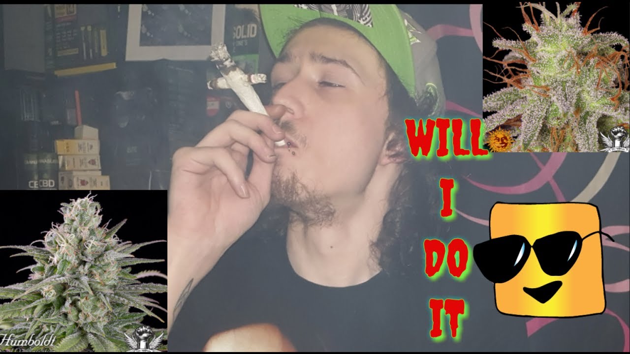 ONE MAN VS &pound;70 (7 GRAMS OF WEED)smoke up sesh