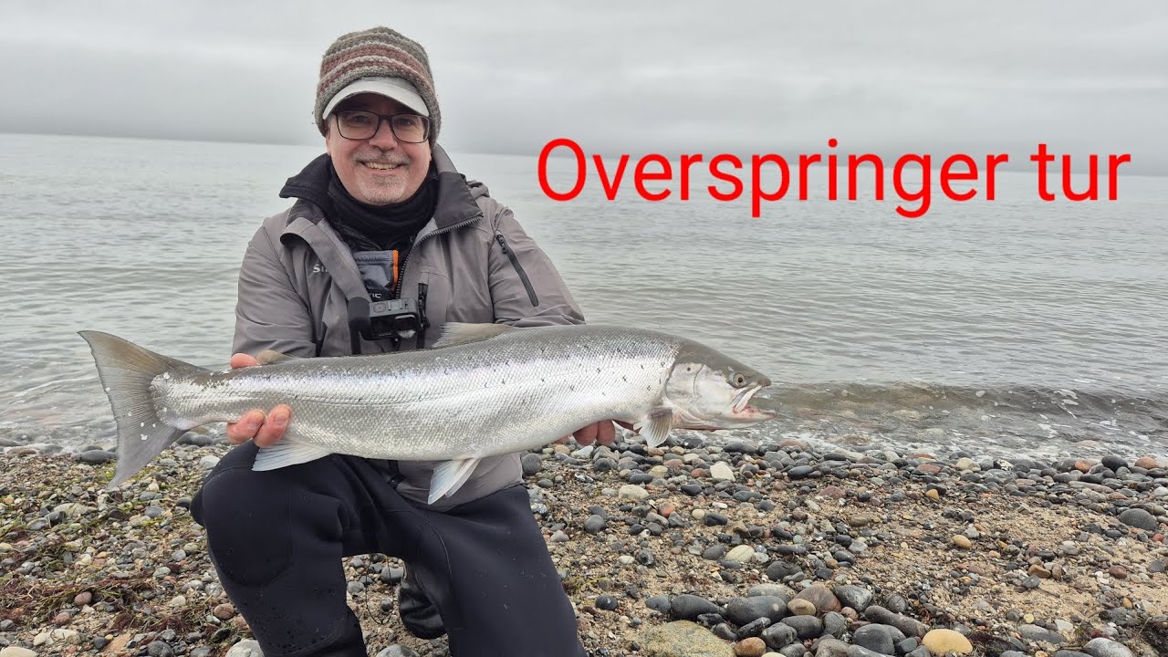 #Havørred / Havsörrings tur efter overspringer