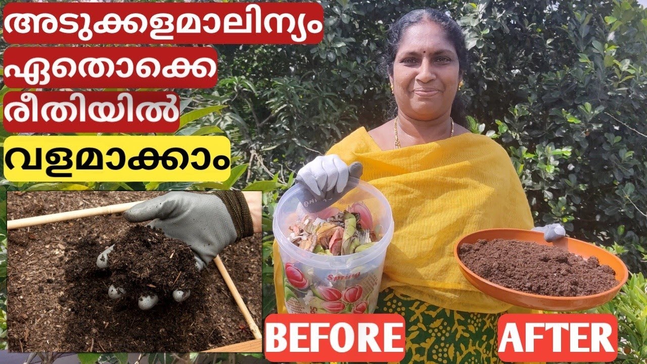 അടുക്കളമാലിന്യം ഏതൊക്കെ രീതിയിൽ വളമാക്കാം | How to manage kitchen waste | Malayalam