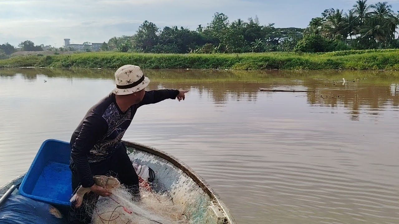 Sang Buaya timbul di atas jaring, Ia mahu makan ikan, 