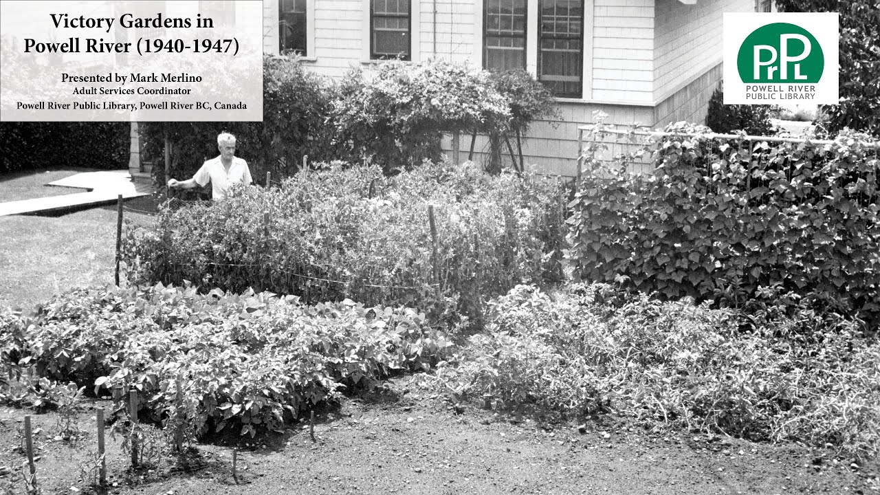 Victory Gardens in Powell River 1940-1947