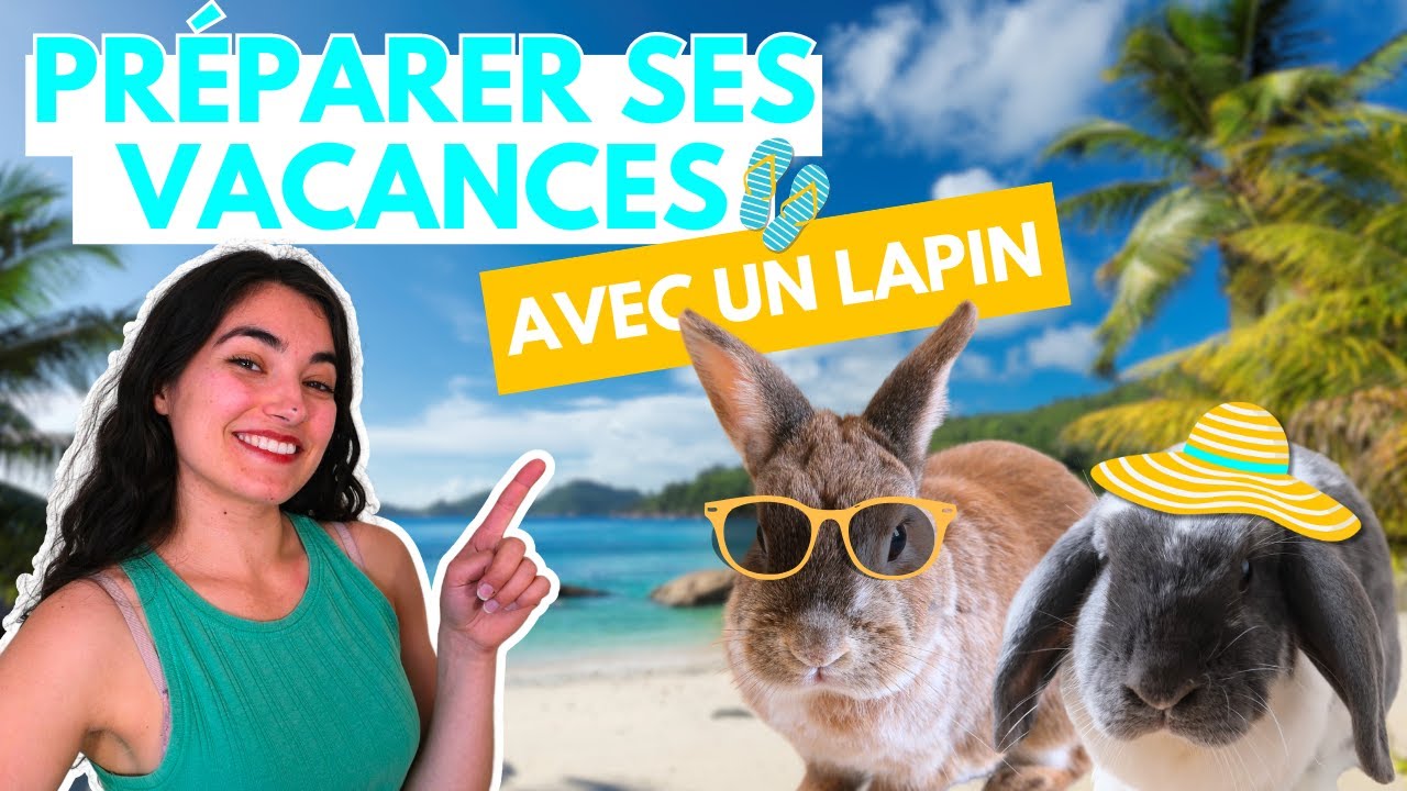 PARTIR EN VACANCES AVEC SON LAPIN 🍧🐰 Tout ce que tu dois savoir !