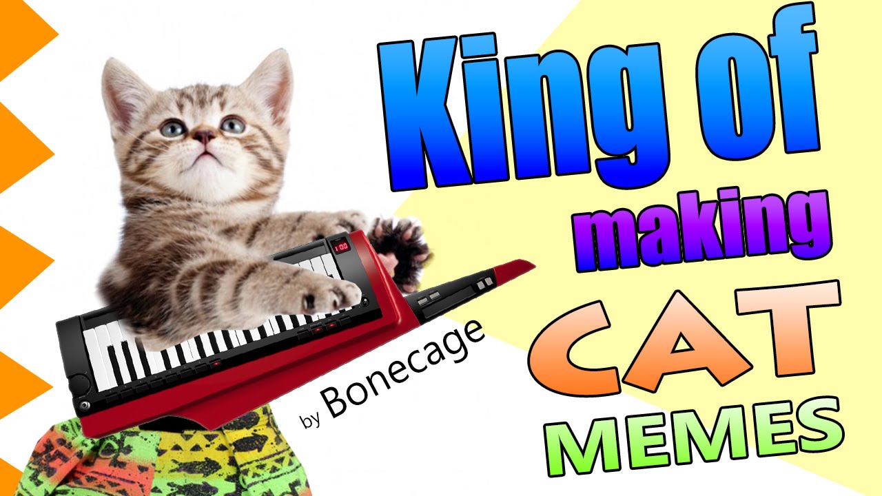 King of Making Cat Memes - 90s Parody