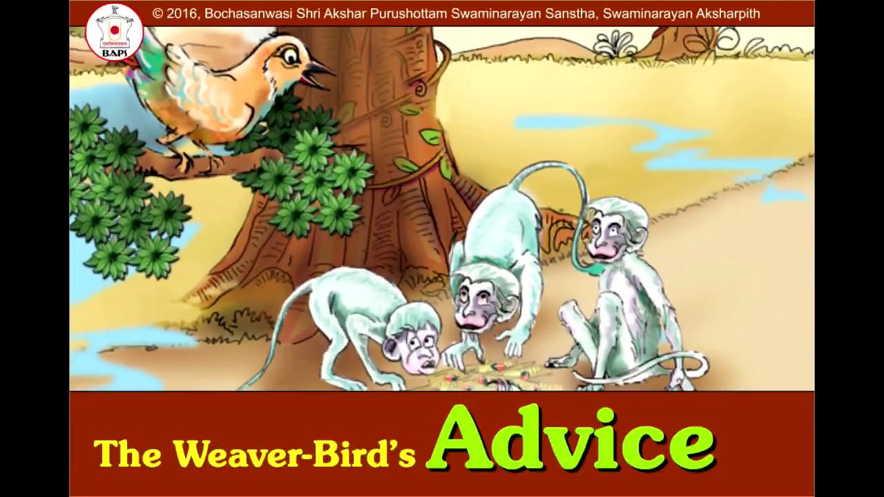 The Weaver Bird's Advice