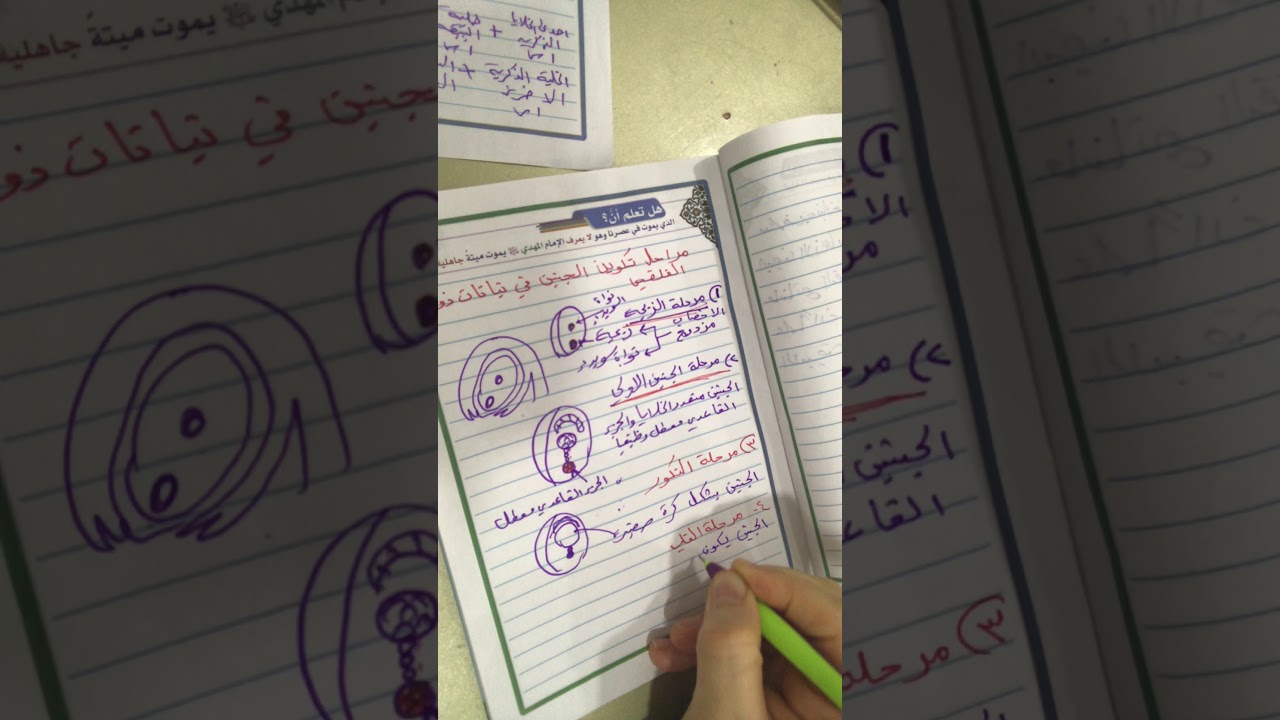 مراحل تكوين الجنين في نباتات ذوات الفلقتين