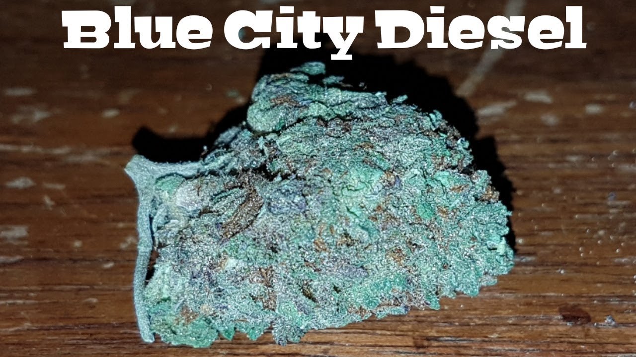 Strain Review - Blue City Diesel