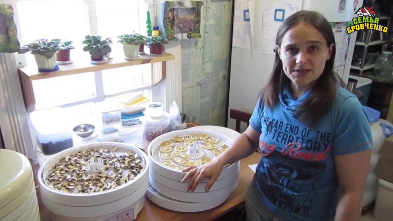 Семья Бровченко. Сравнение сушилок Волтера и Изидри. Сушим лук, морковь, грибы и лимон. (05.16г.)