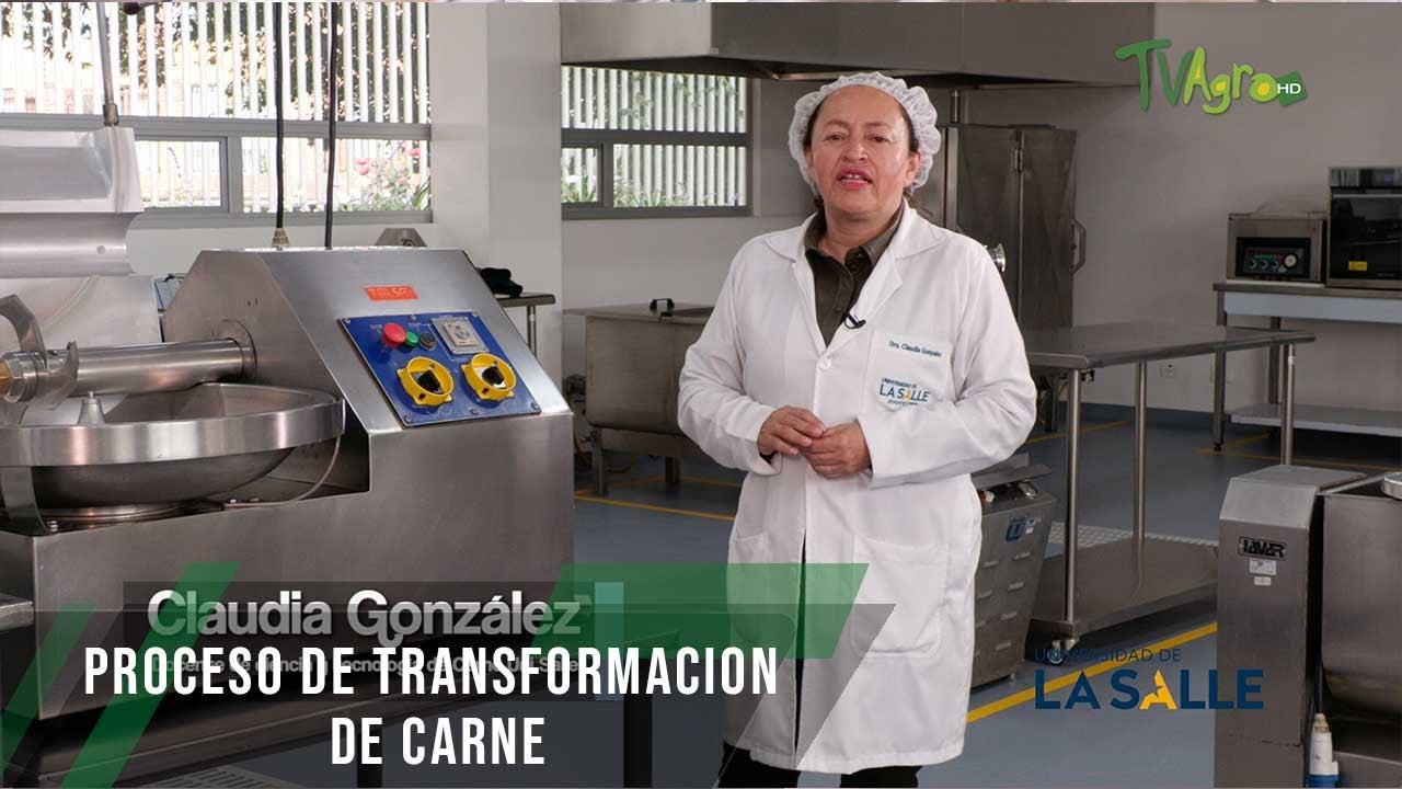 Proceso de transformación de carne - TvAgro por Juan Gonzalo Angel Restrepo