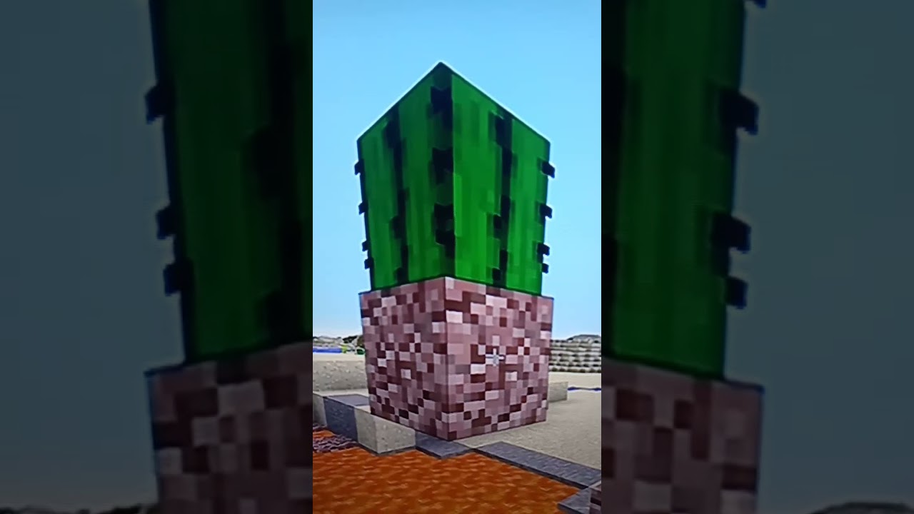 Illegal Cactus @JeromeASF found