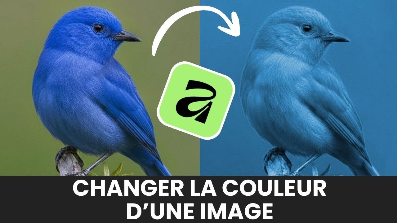 Comment changer la couleur d’une image dans Affinity