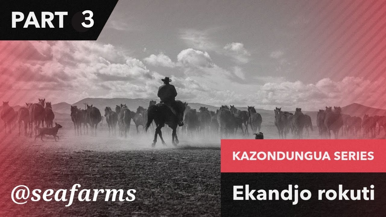 Kazondungua Kaputu PART 3