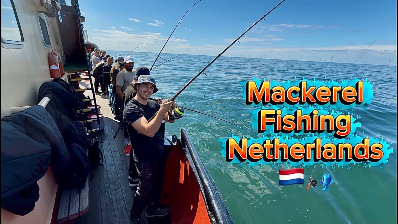 Ловля макрели в Северном море — Нидерланды, август 2025 /  Fishing  North Sea — Netherlands, 08/25