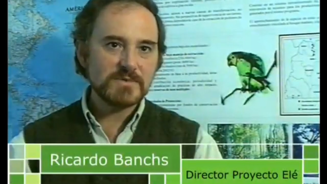 PROYECTO ELÉ Programa Conservación y uso sustentable del Loro Hablador Amazona aestiva en Argentina