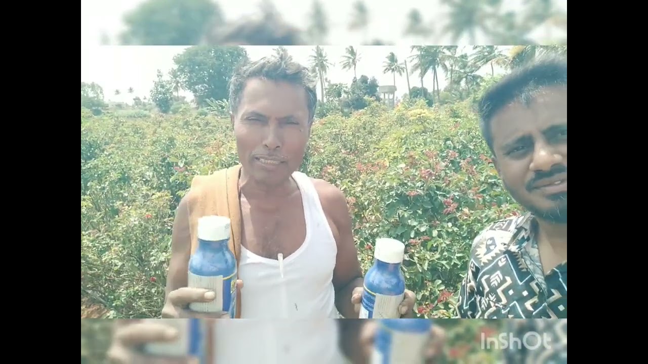 ತೀಫ್ರಸ್ ಹೋಗ ಬೇಕೆ ಇದರ ಜೊತೆಗೆ spary ಮಾಡಿ......... 9902168161