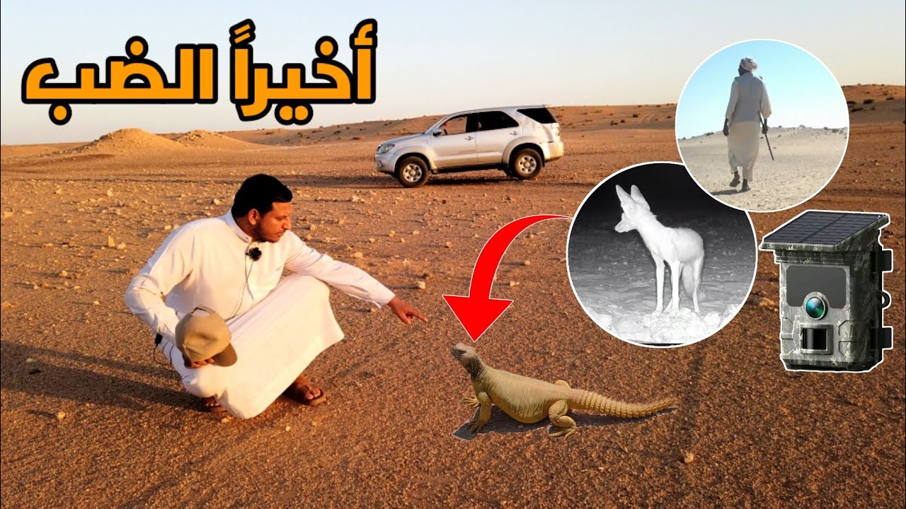 اخيرا تم رصد ضب وثعلب ورجل غريب